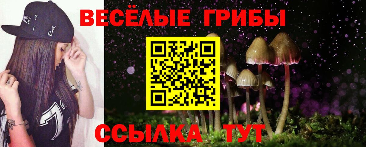 Галлюциногенные грибы Cubensis  хочу   Серов  Галлюциногенные грибы Psilocybe  Вход с VPN 